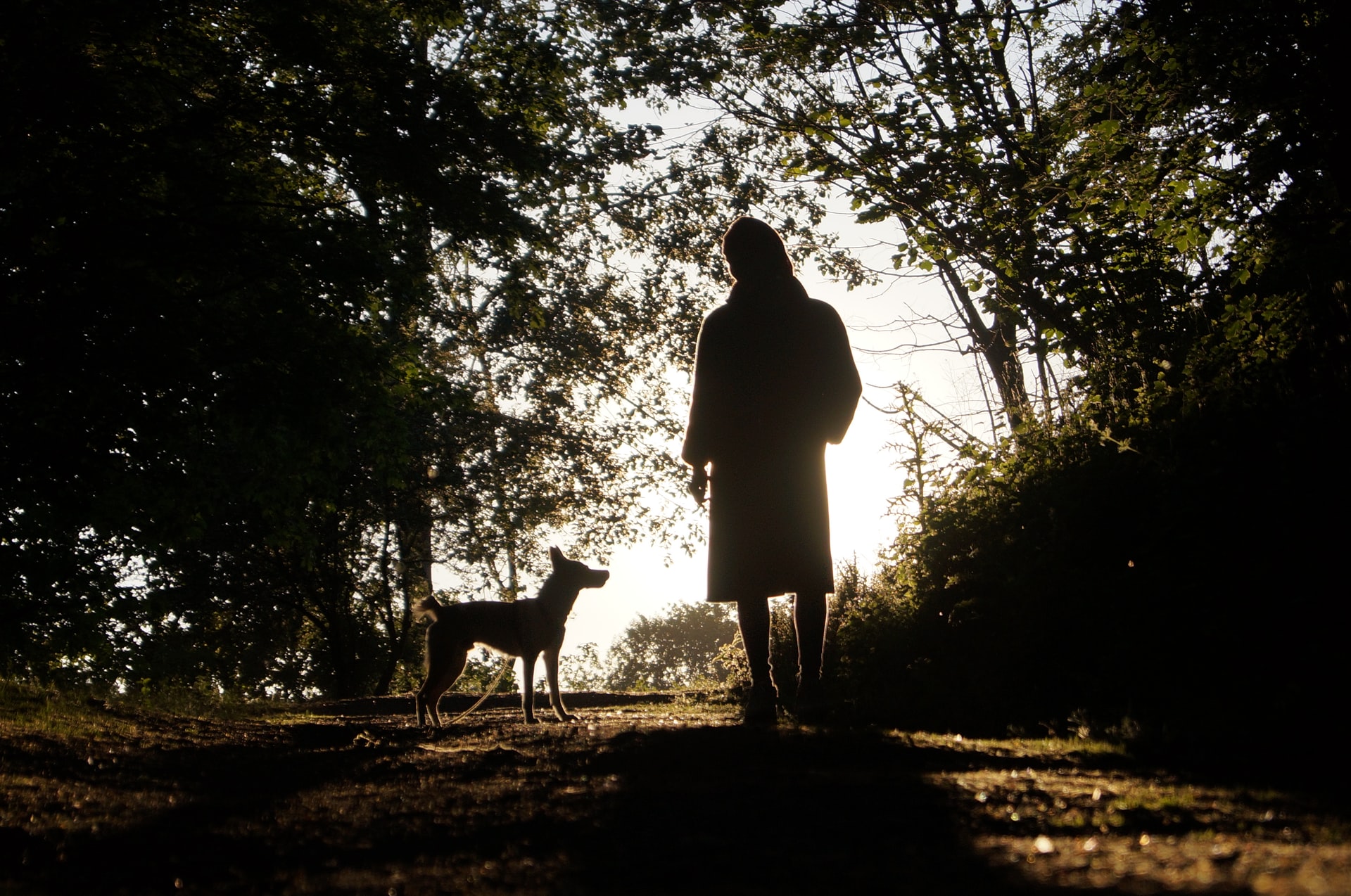 Frau mit Hund beim Spazierengehen